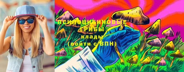 крисы Армянск