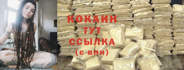 крисы Армянск