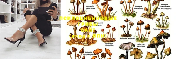 крисы Армянск