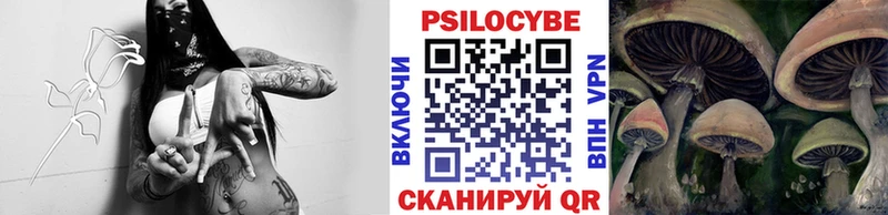 закладка  Брянск  mega онион  Галлюциногенные грибы мицелий 