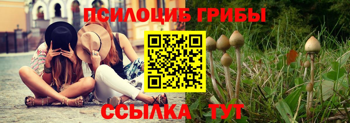 Галлюциногенные грибы прущие грибы Брянск